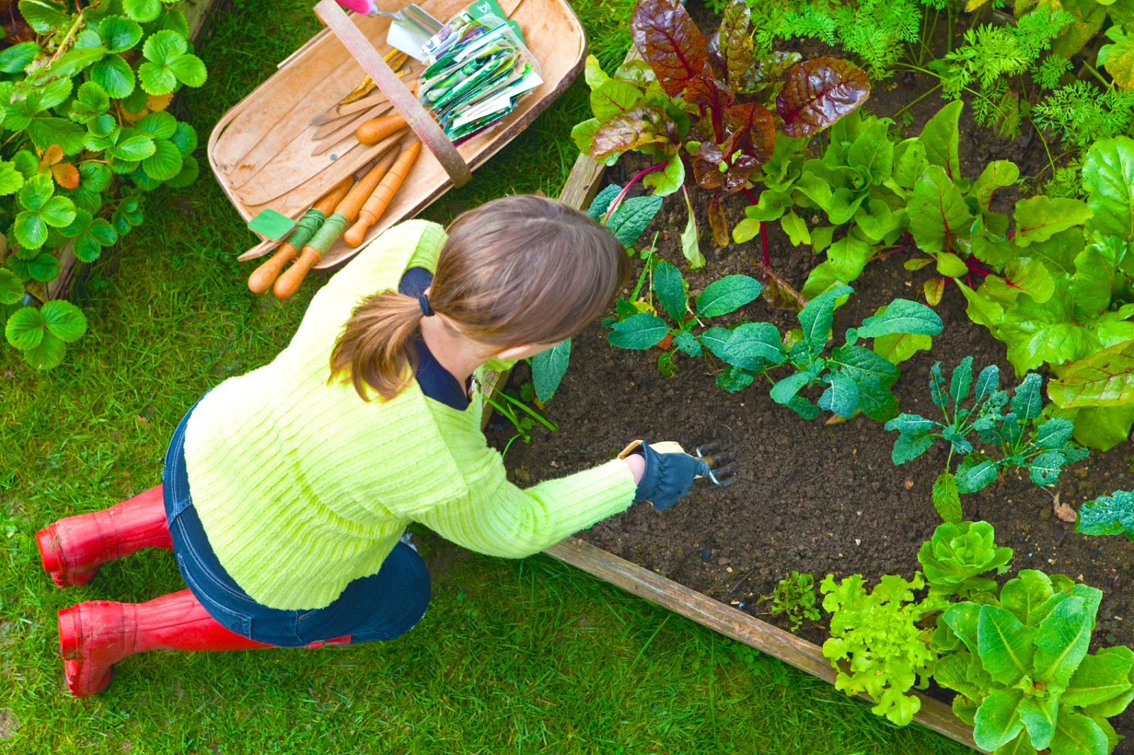 6 Wonderful health benefits of gardening