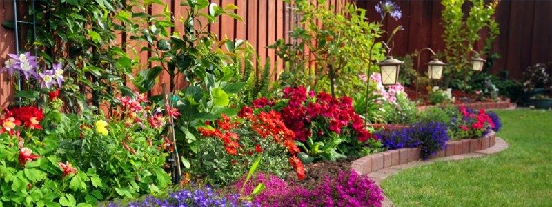 Tips for a successful flower garden
