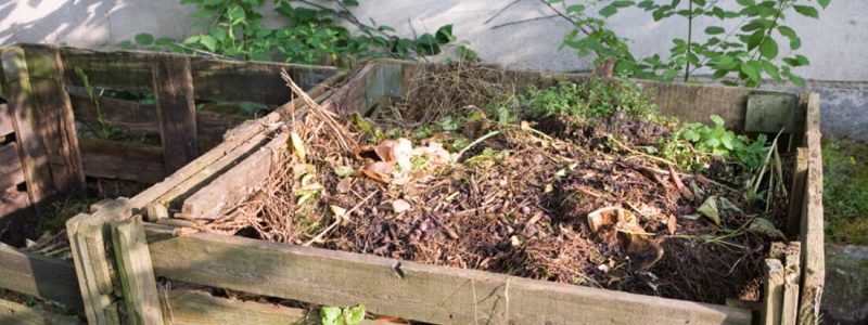 How You Can Compost in Your Backyard