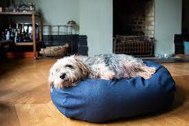 The Importance of a Pet Bed: When to Consider Replacement